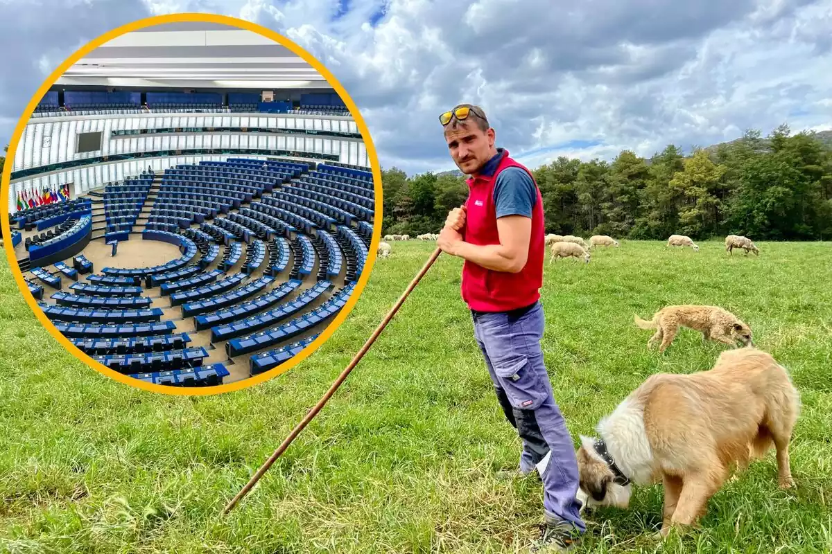 Montaje con una imagen de un ganadero pastoreando sus ovejas en el campo. A la izquierda, dentro de un círculo, el hemiciclo del Parlamento europeo