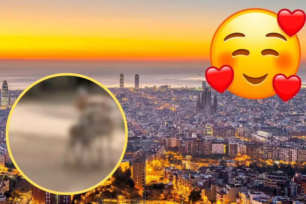 Montaje con una imagen de la ciudad de Barcelona de fondo. En la esquina superior derecha, el emoticono de una cara con corazones. En la esquina inferior izquierda, difuminada y dentro de un círculo, imagen de los animales que han nacido