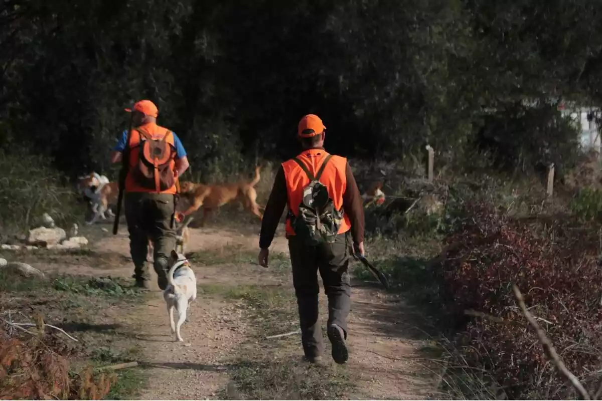 Un grupo de cazadores con sus perros en un camino forestal