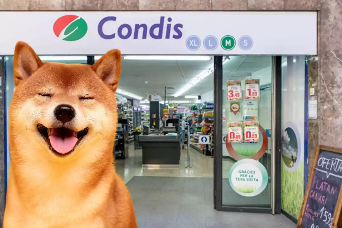 Montaje con la entrada de un establecimiento Condis y en primer término un perro contento de la raza Shiba Inu