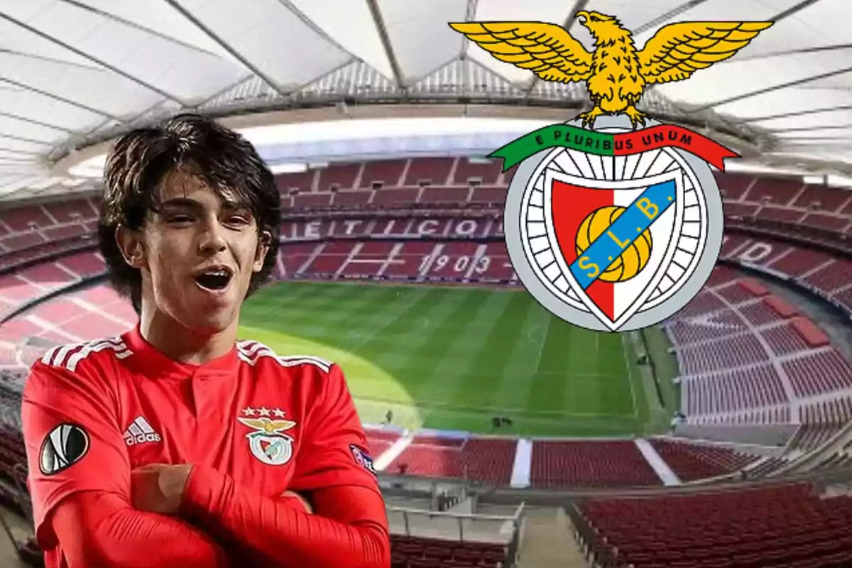 Joao Felix al Benfica