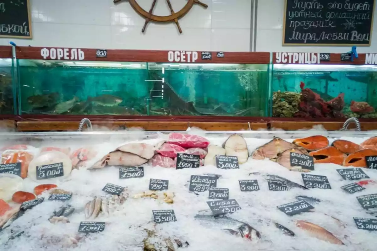 Mostrador de pescadería con variedad de pescados y mariscos frescos, con acuarios en el fondo.