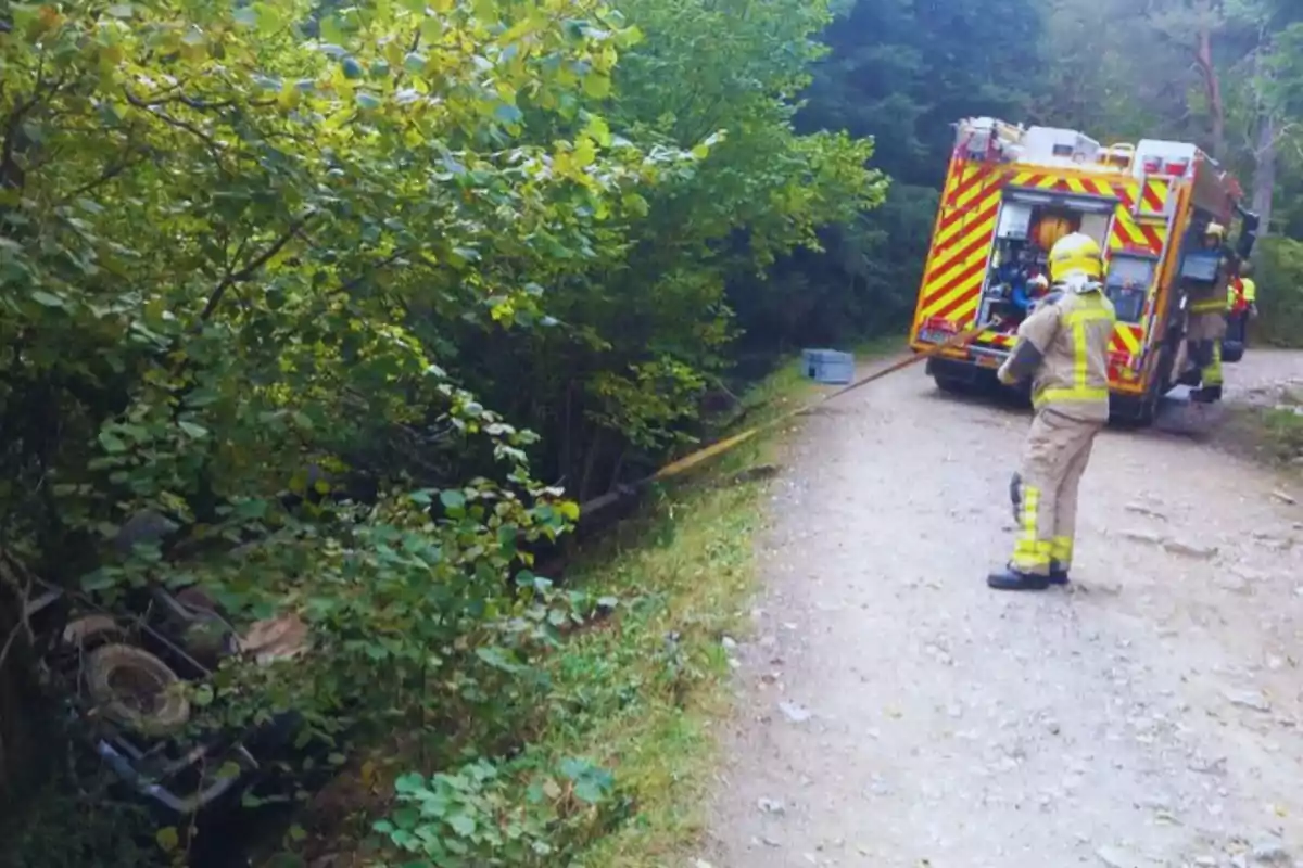 Bomberos trabajando en el rescate de un vehículo accidentado en una zona boscosa.