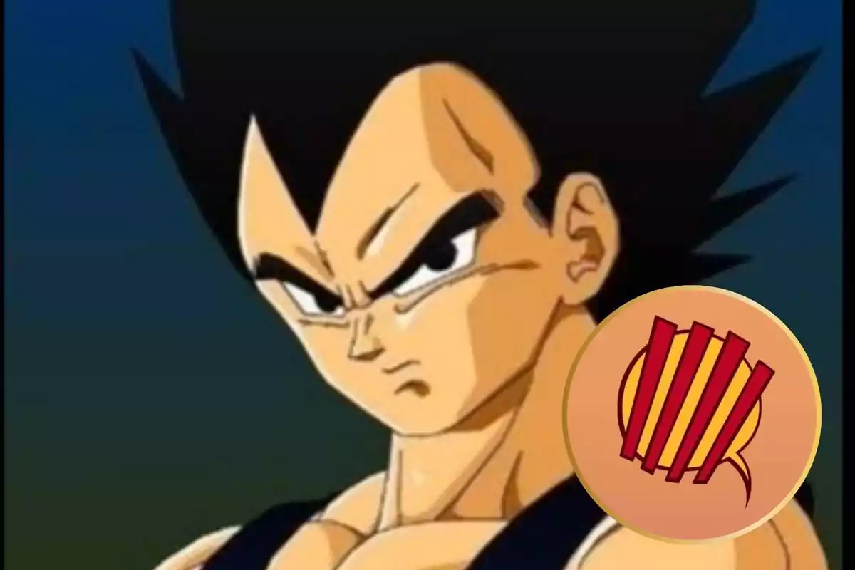 Vegeta de Bola de Dragón