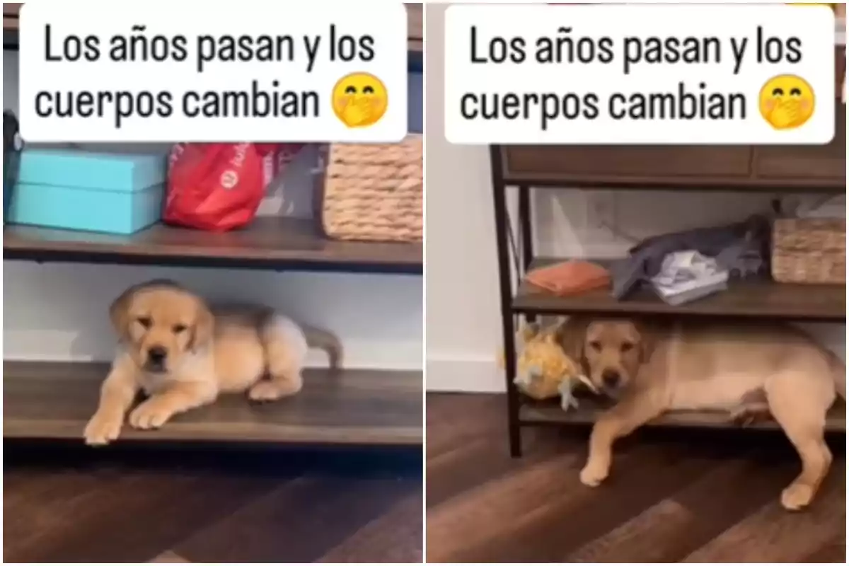 Capturas de un vídeo viral