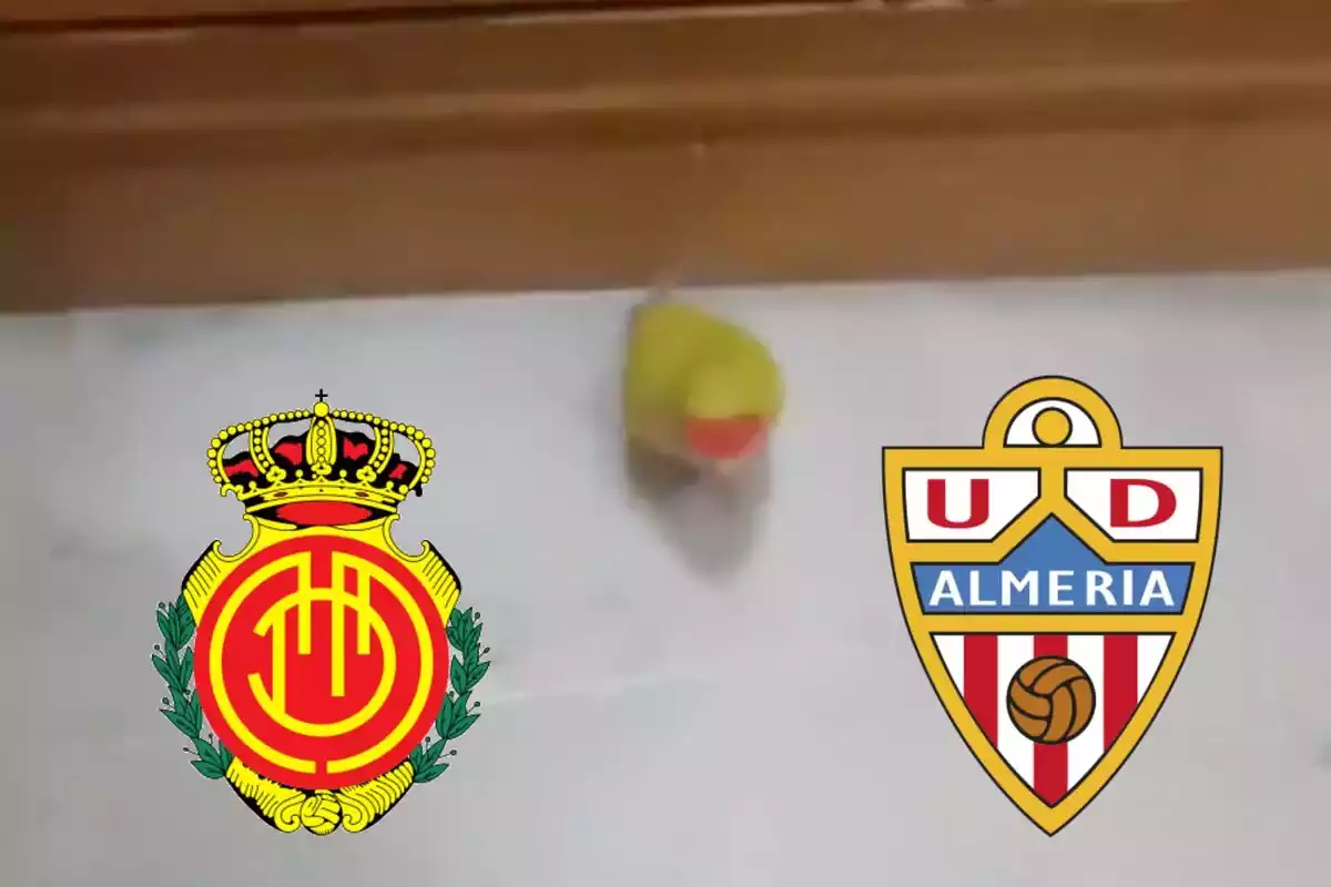 Loro y escudos del Real Mallorca y de la UD Almería