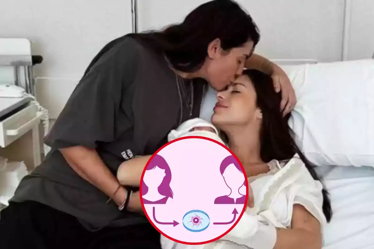 Dos personas en un hospital, una acostada en una cama y la otra inclinada dándole un beso en la frente, con un gráfico en el centro que muestra un proceso de fertilización.