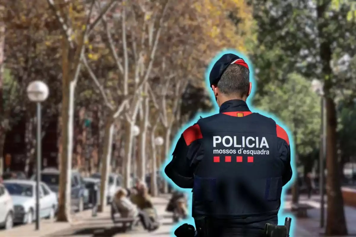 Un agente de los Mossos d'Esquadra de espaldas en una calle arbolada.