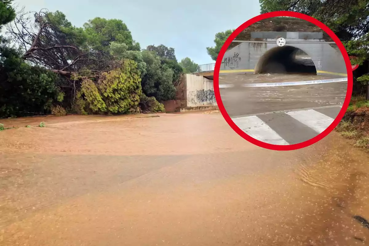 Inundación en una zona arbolada con un túnel bajo una carretera también inundado, resaltado en un círculo rojo.