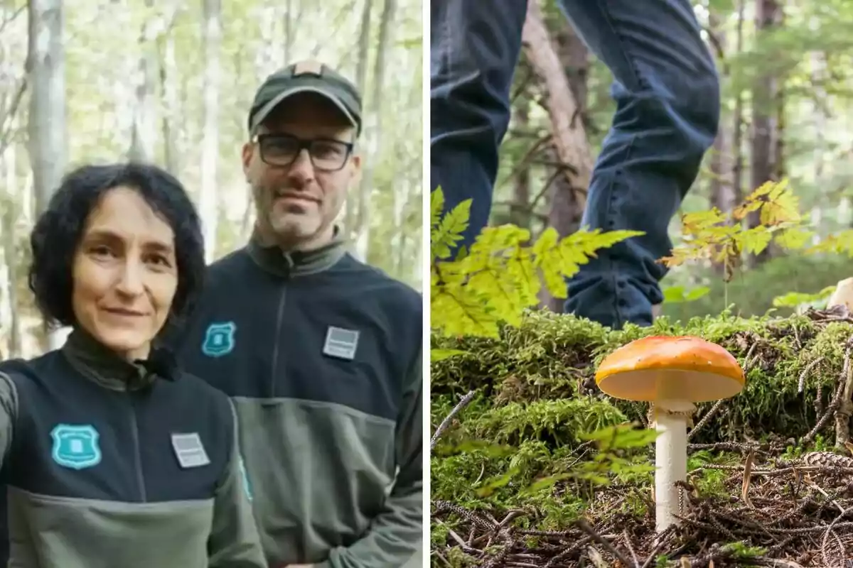 Dos personas con uniformes de guardabosques en un bosque y una persona de pie cerca de un hongo en el suelo del bosque.