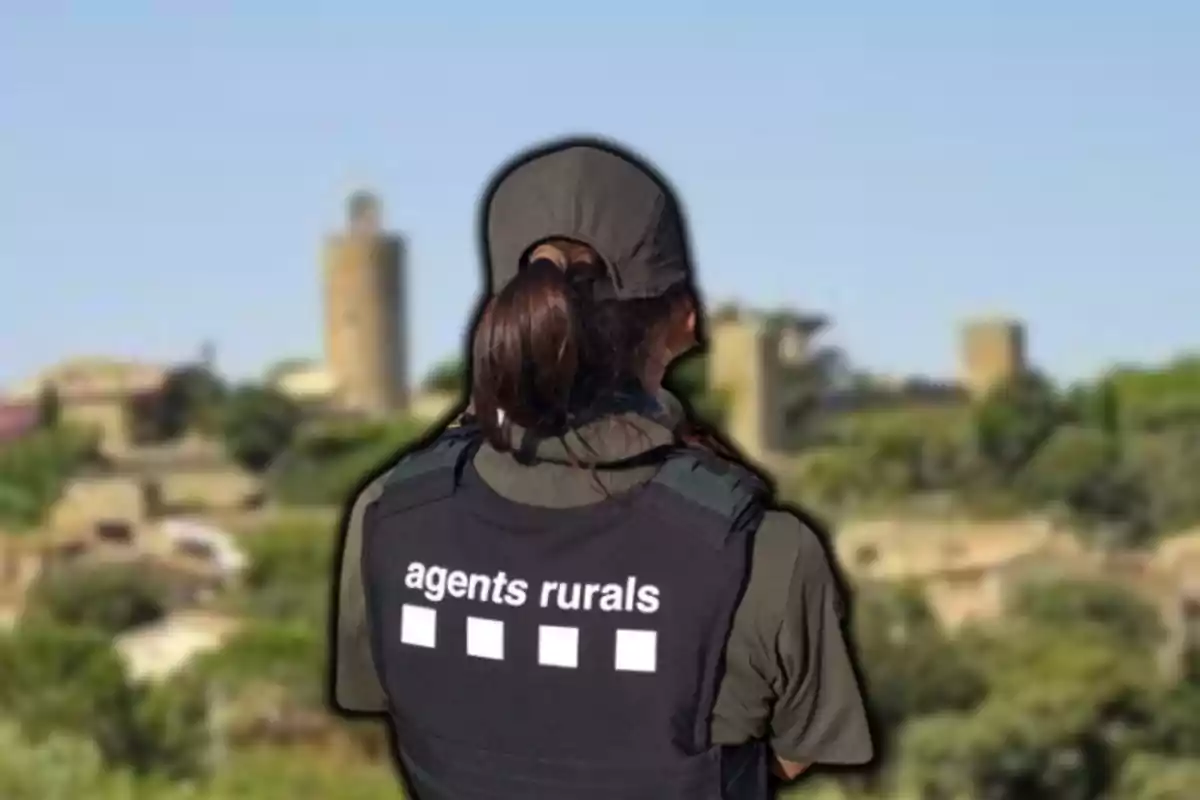 Una agente rural de espaldas con un chaleco que dice "agents rurals" observa un paisaje con torres y vegetación.