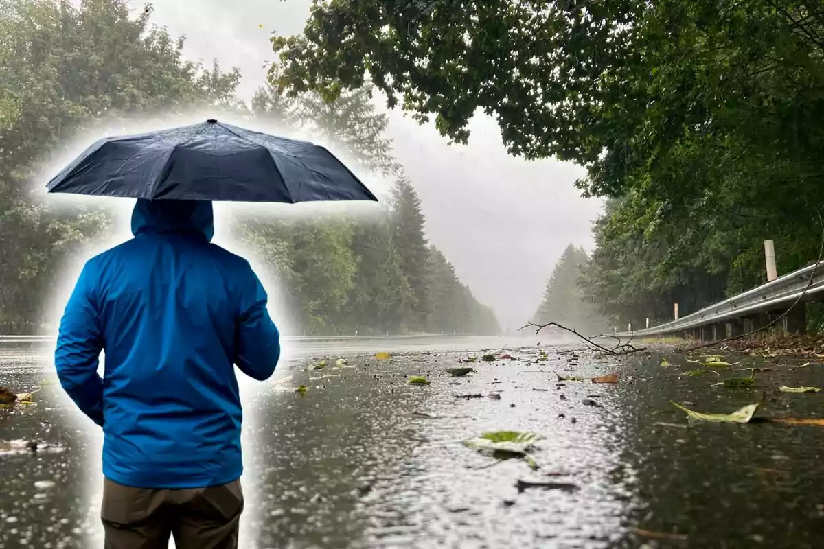 Una persona con una chaqueta azul y un paraguas negro camina por una carretera mojada rodeada de árboles bajo la lluvia.