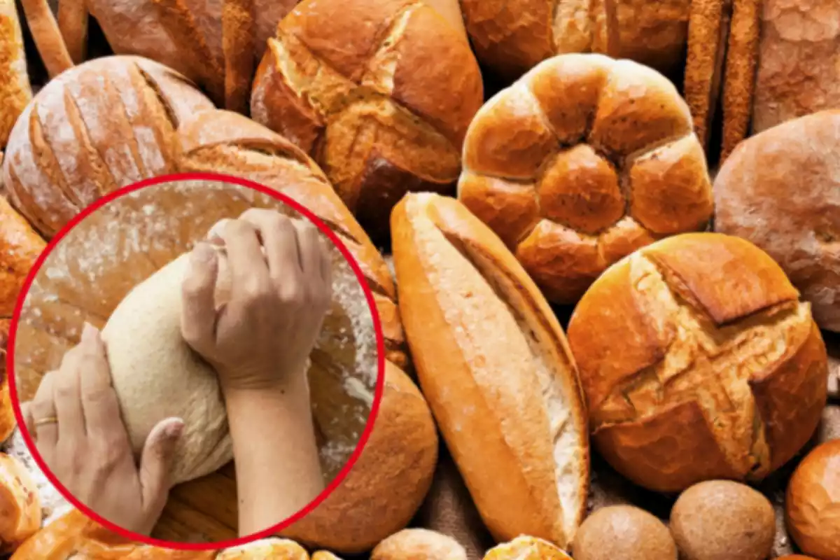 Montaje con varias barras de pan en una mesa y un círculo con dos manos amasando una masa