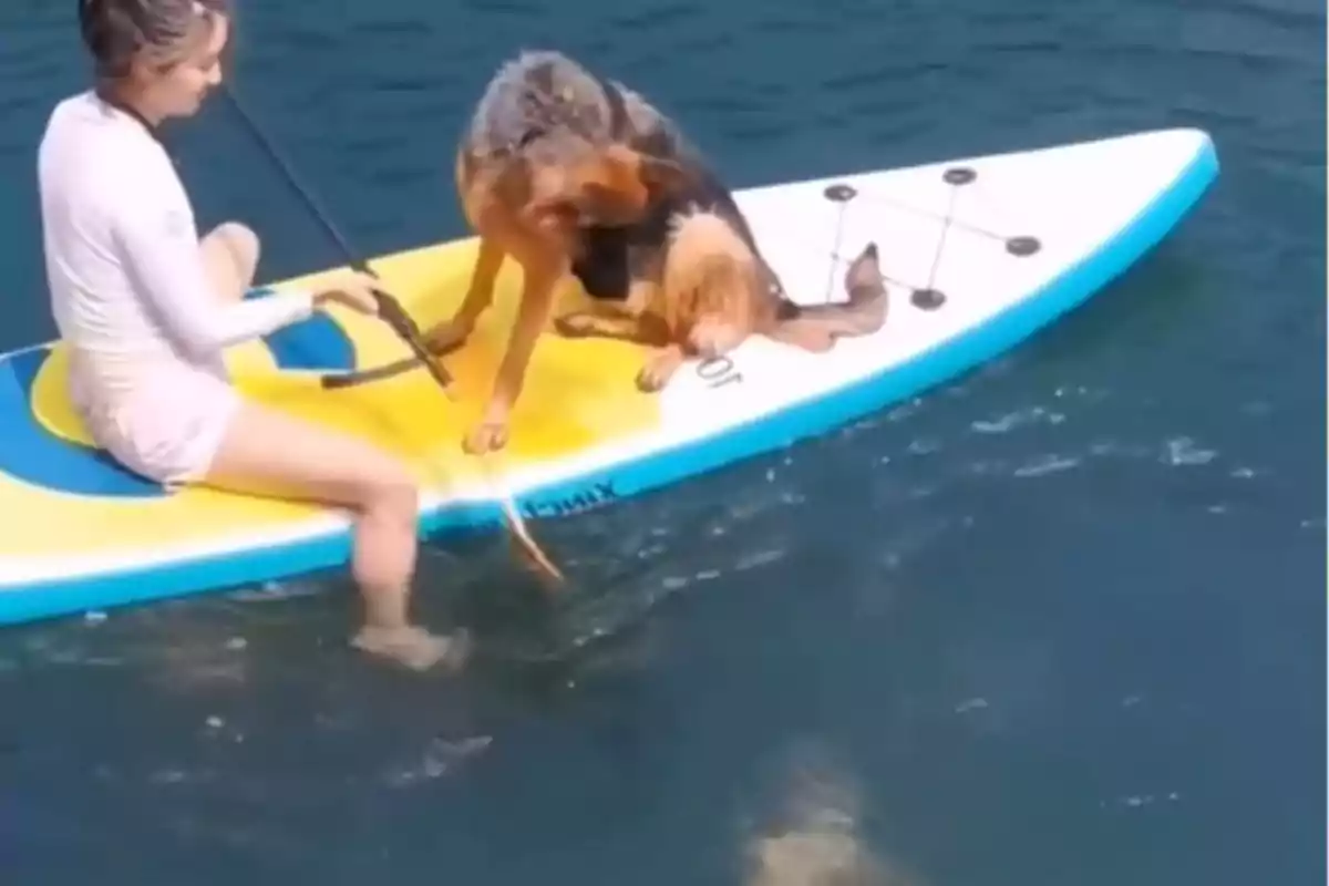 Una persona en una tabla de paddle surf junto a un perro pastor alemán en el agua.