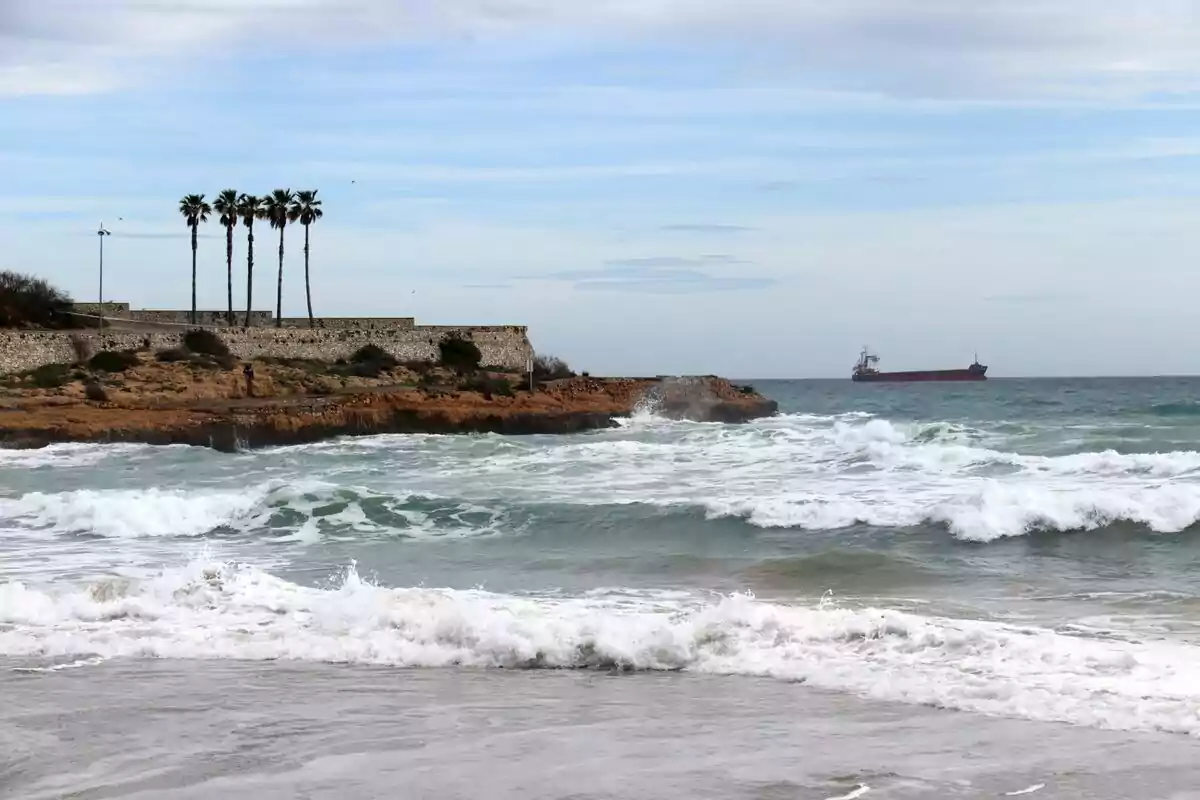 Una playa con olas rompiendo en la orilla, un acantilado con palmeras y un barco en el horizonte.