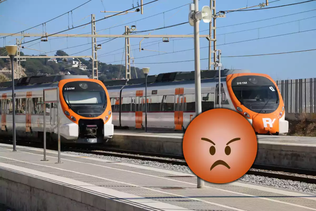 Dos trenes de Rodalies en una estación