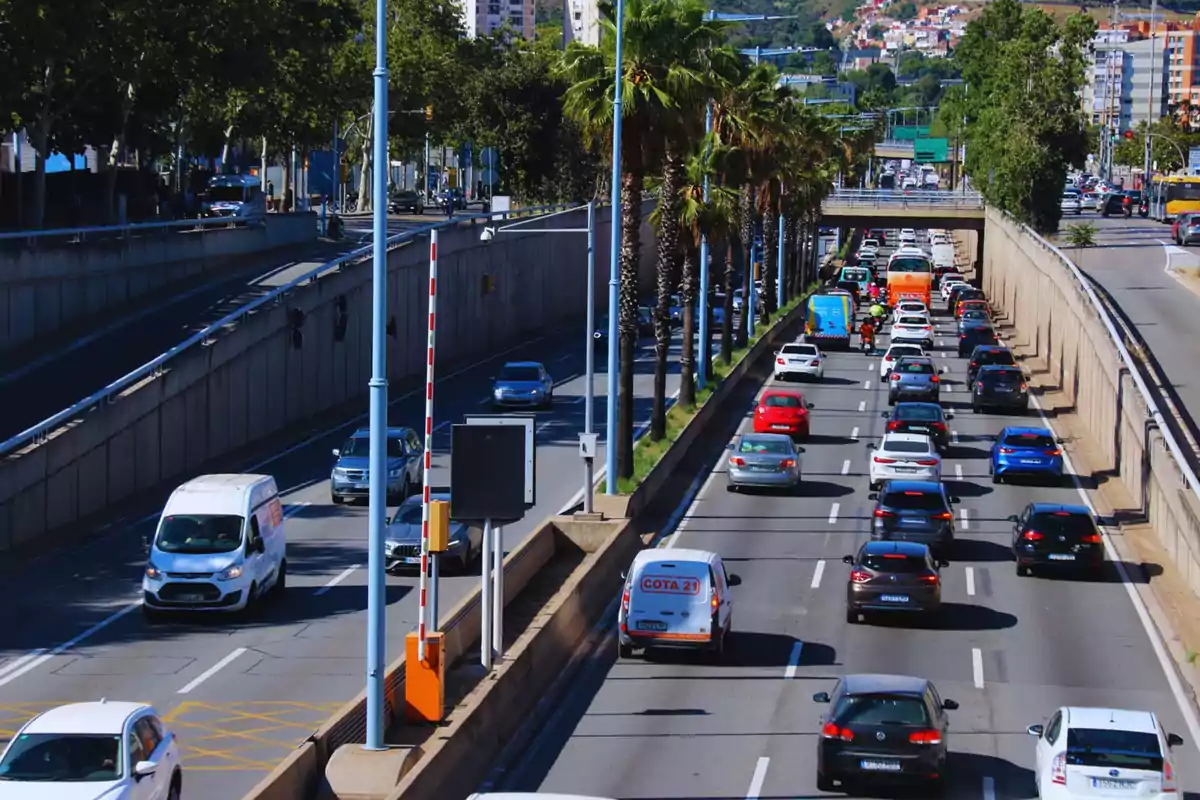 Una carretera urbana con tráfico denso, donde se observan varios carriles llenos de vehículos, palmeras en el separador central y edificios al fondo.