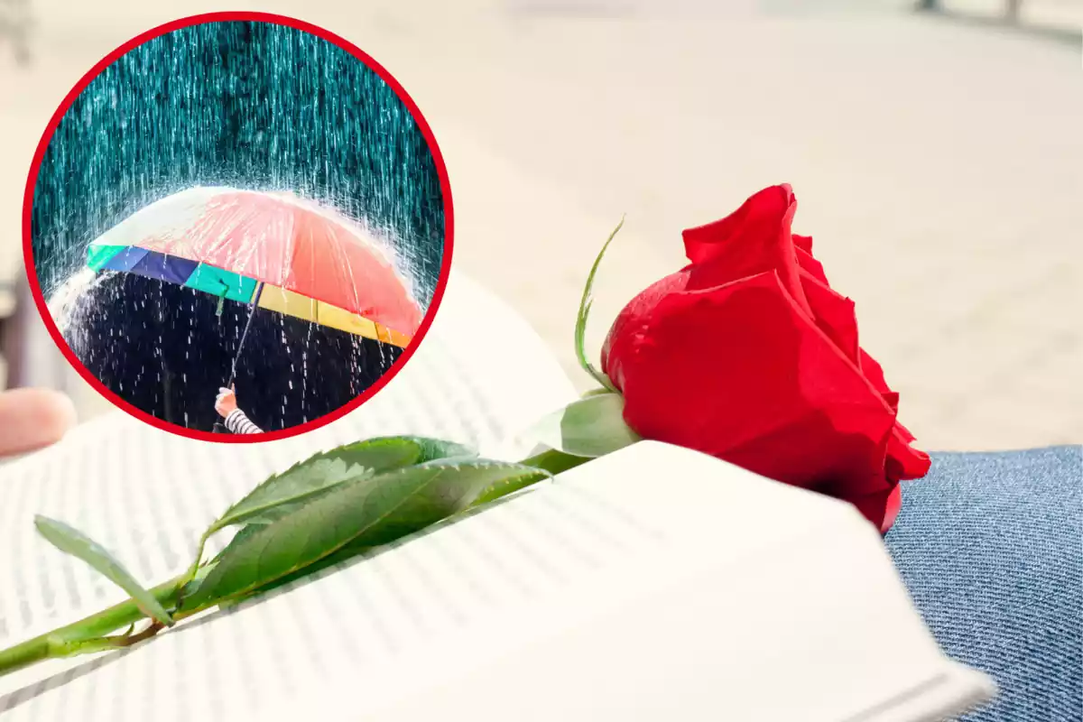 Montaje con una imagen de una rosa y un libro. A la izquierda una imagen con una persona sujetando un paraguas bajo la lluvia