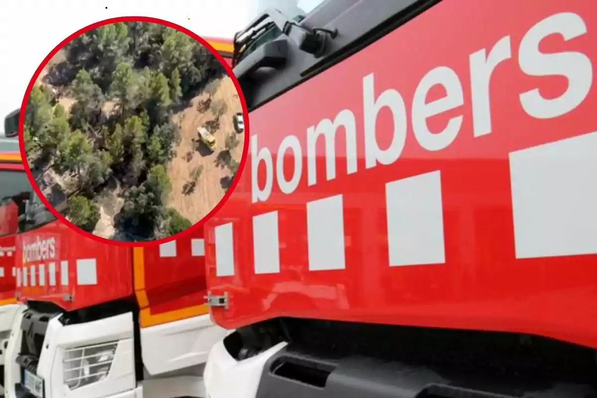 Camiones de bomberos con un recuadro que muestra un área forestal.