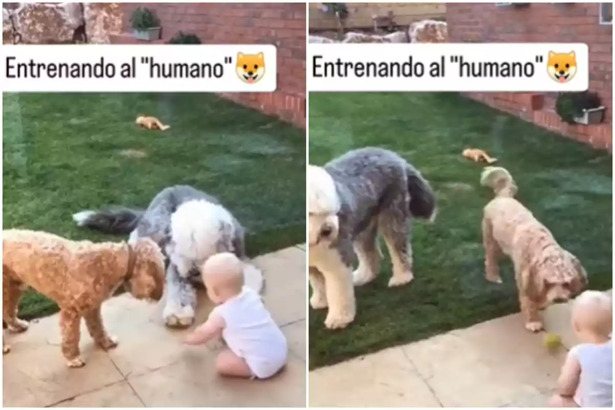 Capturas de un vídeo viral