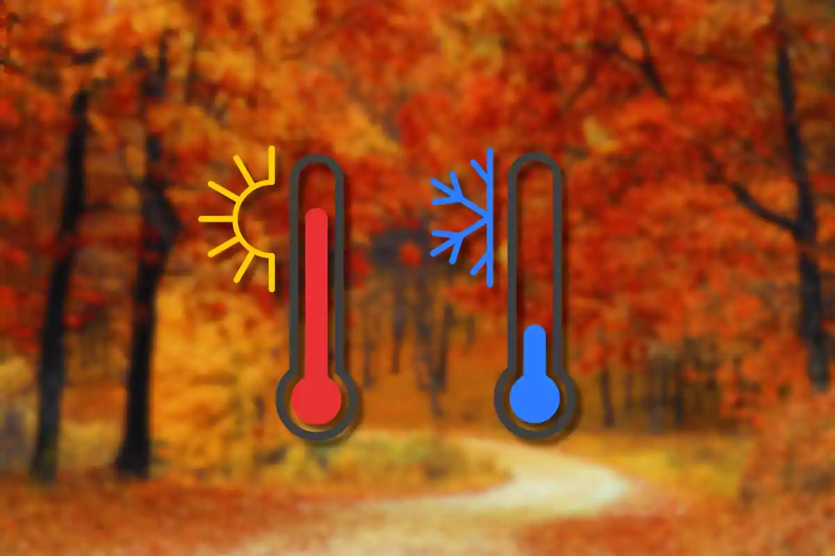 Termómetros de temperatura alta y baja en un bosque otoñal.