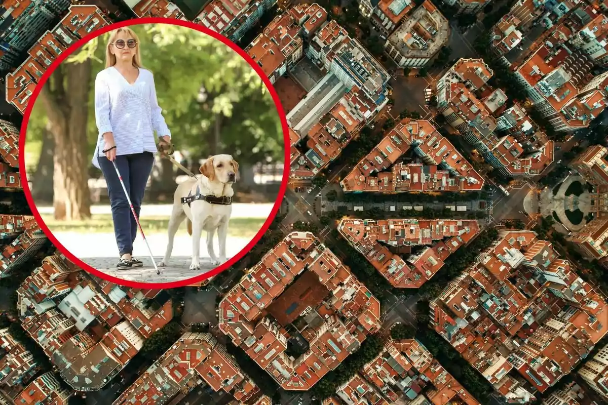 Una mujer con gafas de sol y un bastón guía a su perro en un parque, con una vista aérea de una ciudad de fondo.