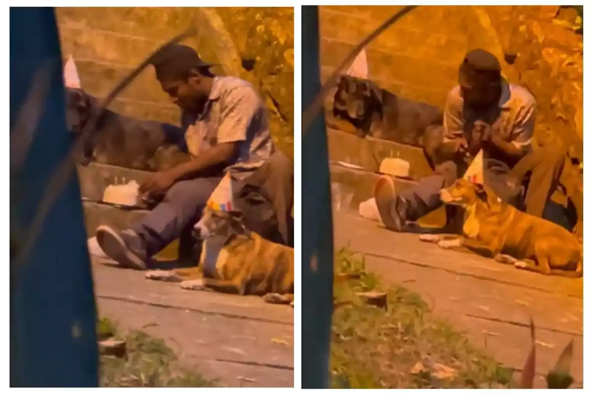 Un hombre celebra el cumpleaños de sus perros en la calle, ambos perros llevan gorros de fiesta y hay un pastel frente a ellos.