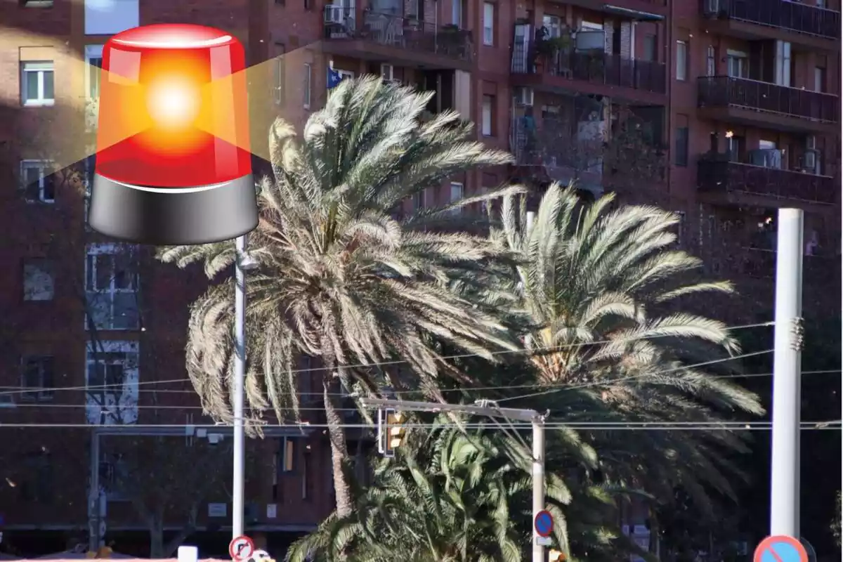 Montaje con una imagen de palmeras azotadas por el viento. En la esquina superior izquierda una sirena de emergencias